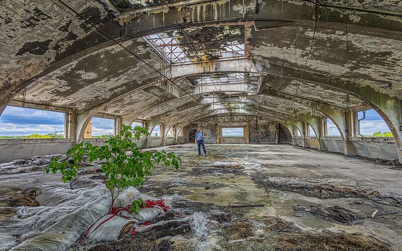 Das Foto zeigt eine sehr große, leere Fabrikhalle. Die ehemalige Fabrik wird heute als Gründer- und Traumfabrik in Forst (Lausitz) genutzt. Durch die vielen großen Fensteröffnungen ohne Scheiben fällt viel Licht in den Raum. Von dort aus ist der Himmel mit blauen Wolken zu sehen. In der Halle wächst ein kleiner Baum, der einen starken Kontrast zur industriellen Umgebung bildet.