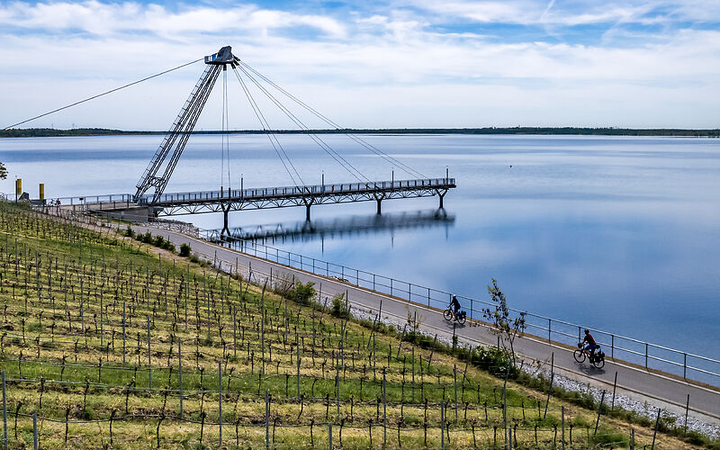 Ein Steg am Großräschener See, der aus einem Teil einer großen Tagebaumaschine gefertigt wurde. Daneben verläuft ein Radweg, auf dem zwei Radfahrer unterwegs sind. Im Vordergrund ist ein Weinberg zu sehen.