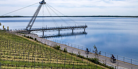 Auf dem Foto sind die IBA-Terrassen am Großräschener See zu sehen, mit der markanten Brücke, die elegant über das Wasser führt. Der Radweg verläuft entlang des Ufers und lädt zu einer entspannenden Fahrt mit Blick auf den See und die umliegende Landschaft ein.