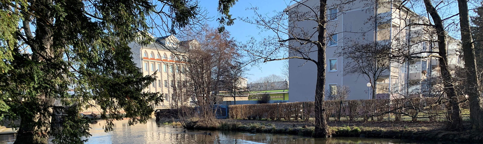 Blick auf die Stadtmühle und den Mühlgraben, bis auf den Baum links im Bild sind alle Bäume blätterlos