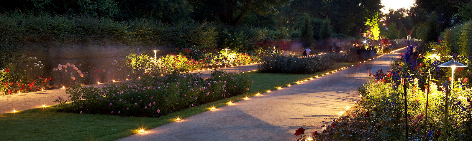 the Night of 1,000 Lights in the Rose Park