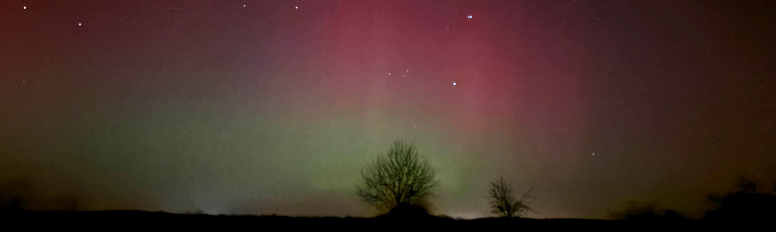 Der Himmel leuchtet in einem Farbverlauf von pink zu grün, im Vordergrund sieht man die Silhouetten von Bäumen.