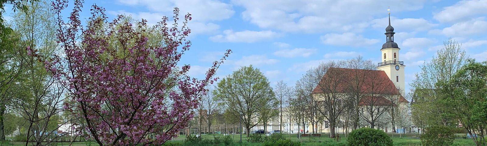 Blick auf die Stadtkirche St. Nikolai über eine grünen Wiese mit mehreren Bäumen, die teilweise Bereits Blätter haben.